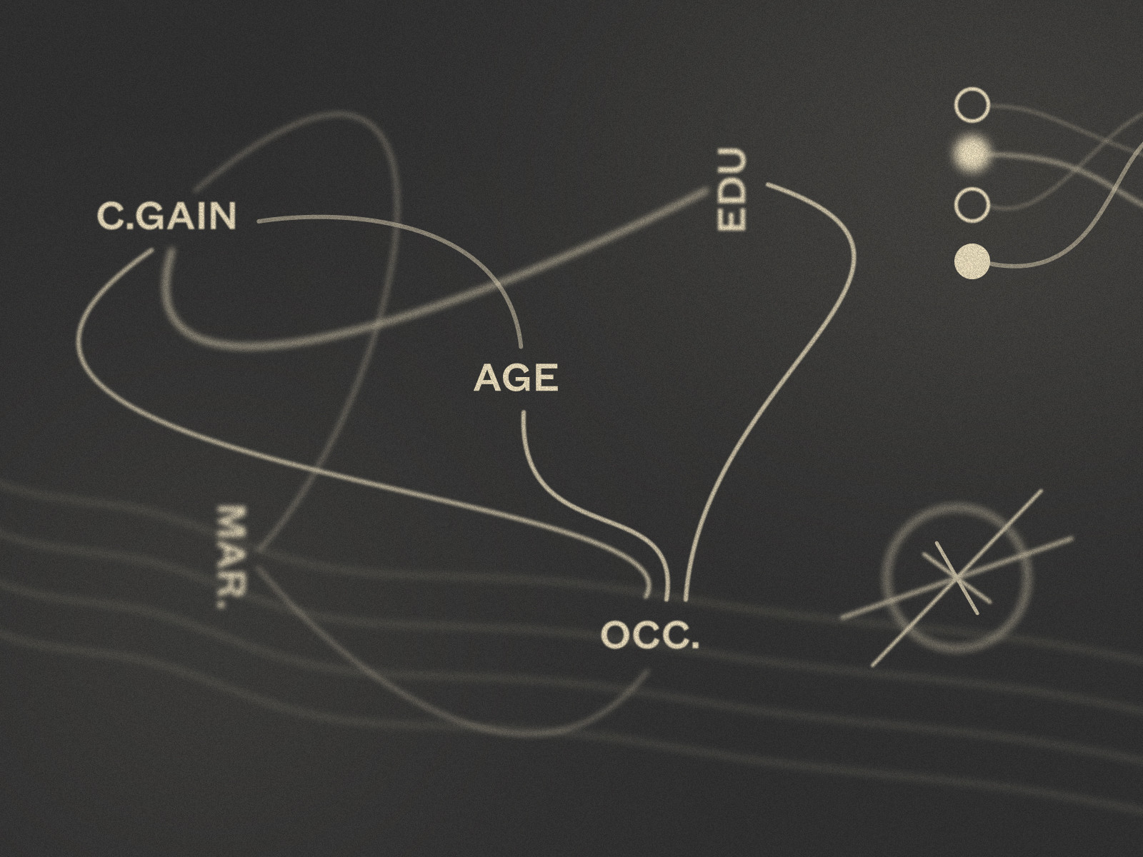 Stylized network visualization of the interconnected variables used for machine learning predictions, including Age, Race, Occupation, Education, and Capital Gain